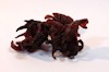 dried hibiscus